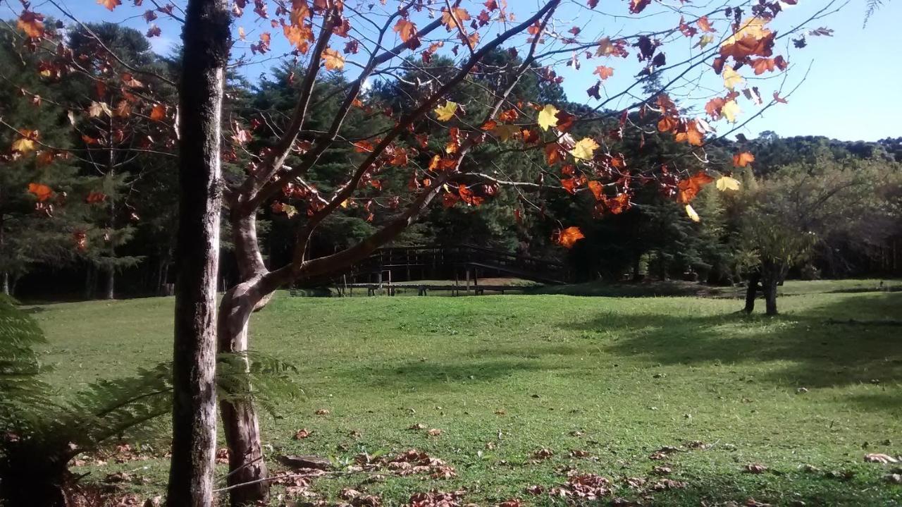 Recanto Na Montanha De Casa de férias *